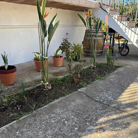 Girasoles Holiday home *