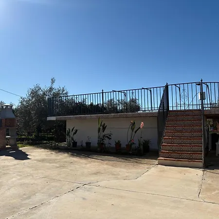 Girasoles Cordoba